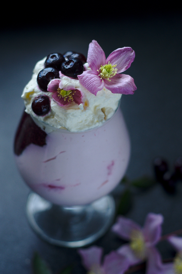 bluberry and chia dessert